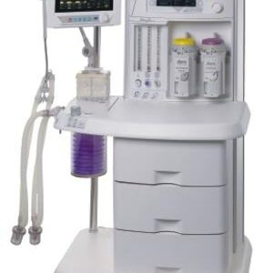 morpheus_lt Algérie